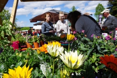 Bauernmarkt 2018-8